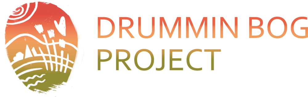 drummin bog logo